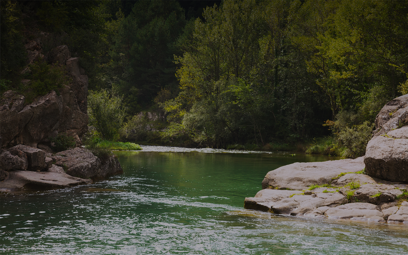 Fiume dalle acque verdi che scorre placidamente tra grandi rocce e massi, circondato da una fitta vegetazione di alberi e arbusti illuminati dal sole. La scena trasmette una sensazione di tranquillità in un ambiente naturale incontaminato.